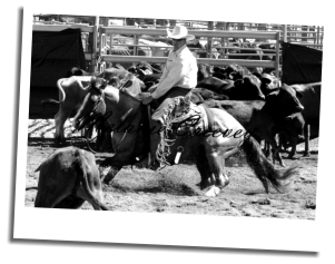 Photo of Jason Leitch at a horse cutting event