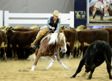 blondie winning congratulations limited show